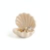 Keep Vanity Clutter-Free with This Lidded Ceramic Shell Jewelry Box for Secure Desktop Storage