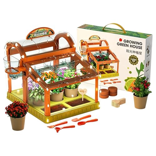 Kids Plant Growing Kit - PVC 39 x 29 x 10 cm Educational Science Toy Set | Greenhouse Flower Growîng Terrarium Kît with Grow Light Irrigation System | Indoor Outdoor Gardening Kiț