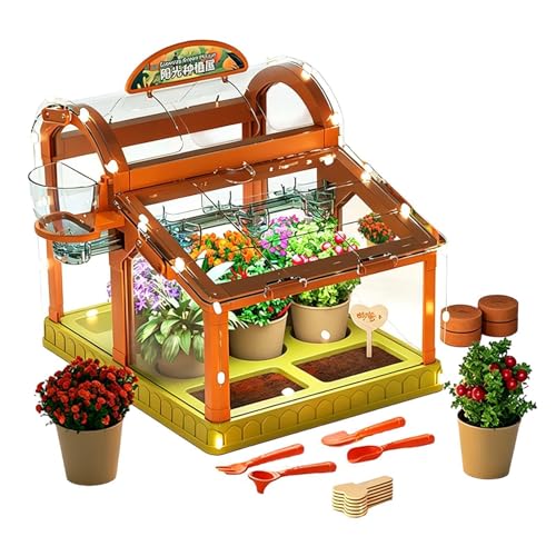 Kids Plant Growing Kit Indoor Greenhouse Gardening Kit Terrarium with Grow Lights Indoor Outdoor Plant Cultivation PVC Greenhouse Design Hands On Learning Science Projects Creative Activity