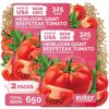 KVITER 650 Giant Beefsteak Tomatoes Seeds (Solanum lycopersicum), 2 Pack – Beef Steak Tomato Seed Packets, Heirloom Tomatoes – Non GMO Slicing Tomato Vegetable Seeds for Indoor & Outdoor Garden