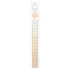 Kyoei NJ-16-04 Plastic Nude Color Ruler, 6.3 inches (16 cm), Milk Tea