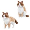 Larcele 2 in 1 Micro Block Ragdoll Cat Building Kit for Ages 8+, KLJM-13