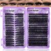 Lash Clusters 570Pcs Fluff Cluster Eyelash Extensions D Curl 12-20mm Individual Lashes Wispy Cat Eye False Eyelashes Thin Band by LASH SKYQD (40-60D Cat Eye+80-150D)