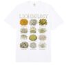 Lichenology Lichen Species Botanical Chart Comfort Colors Adult Heavyweight T-Shirt