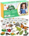 Life Cycle Animal Kit - Montessori Science Toy with 24-Piece Matching Game, Butterfly, Frog, Chicken, Bee, Ladybug and Turtle STEM Educational Gift, Easter Basket fillers for Kids Ages 3-8