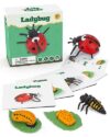 Life Cycle Kit Montessori - Realistic Figurine Toys, Kids Animal Matching Game with Ladybug, Easter Basket Stuffers for Kids, Science Fun for Learning Education Toys