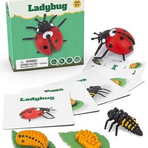 Life Cycle Kit Montessori - Realistic Figurine Toys, Kids Animal Matching Game with Ladybug, Easter Basket Stuffers for Kids, Science Fun for Learning Education Toys
