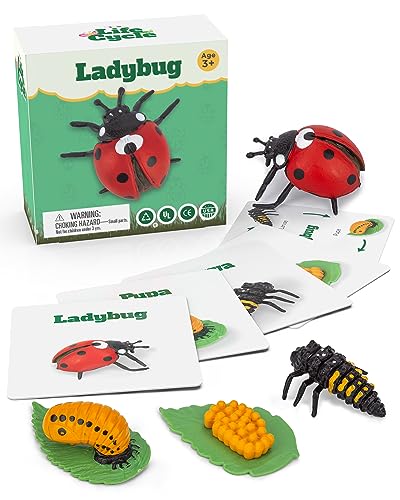 Life Cycle Kit Montessori - Realistic Figurine Toys, Kids Animal Matching Game with Ladybug, Easter Basket Stuffers for Kids, Science Fun for Learning Education Toys