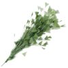 LKXHarleya Natural Feather Flower Trim, 9.84-11.81inch Decorative Turkey Feathers for Home Party Headdress Wedding Festival DIY Crafts, Army Green