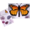 Lovepop Thank You Pop-Up Card for Her and Him - 3D Greeting Cards for Boys, Girls, Men, Women - Your Kindness Is a Blessing - 5" x 7" Butterfly Card - Blank Note Card & Envelope Included