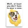 Lovesout White Brindle American Bulldog Poster, Get Well Soon, 12x18