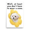 Lovesout White Maltipoo Poster, Get Well Soon, 12x18