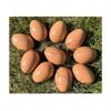lstyty Montessori Solid Wooden Fake Chicken Eggs