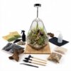 Luckyrunes Complete Glass Terrarium Kit