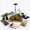 Luckyrunes Complete Glass Terrarium Kit with Live Moss, Triangle Mountain