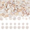 Magibeads 200Pcs Shell Charms Capiz Shells for Jewelry Making Natural Freshwater Shell Disc Charms with Holes 2 Sizes 10mm 15mm Seashell Beads for Jewelry Making Earring Necklace Bracelet Crafts