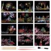 Magic Scratch Art Paper, Mini Envelope Postcard, Rainbow Night View Scratchboard for Adults and Teens, Art & Crafts Set: 12 Sheets Scratch Cards & Drawing Pen, Clean Brush (Fireworks/Cherry Blossom)