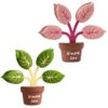 Magnetic Chip Clips Tree Leaf Shaped Bag Clips for Snack Bags, Food Storage Sealing Clip for Fridge Decor, Metal Plates, Kitchen Whiteboard, Office（2Pcs）