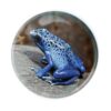 Magnidome - Poison Dart Frog Fridge Magnet from Deluxebase. Cute Crystal Glass Dome Magnet for Refrigerator, Whiteboard and Locker. Unique Animal Gift for Office and Home Decor
