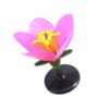 Magnified Peach Blossom Demonstration Kits Interactive Learning Equipment for Secondary School Laboratories Flower Model for Classroom