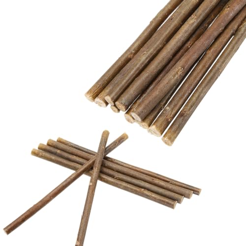 MECCANIXITY Wood Log Sticks 8 Inch Long 0.2-0.5 Inch Dia, Brown 10Pcs | Natural Wooden Craft Sticks with Bark Natural Twigs Rustic Wooden Branches for DIY Crafts Home Decor Festival