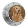 Mechanical Kitchen Timer Magnetic Timer Visual Timer Manual Countdown Clock