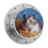 Mechanical Kitchen Timer Magnetic Timer Visual Timer Manual Countdown Clock