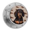 Mechanical Kitchen Timer Magnetic Timer Visual Timer Manual Countdown Clock