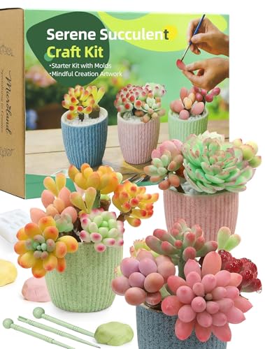 Microland Crafts for Teens Succulents Flower Making Kit, Teen Crafts Air Dry Clay Kit for Girls 14-16, Adults Art Therapy Project, DIY Creative Gifts for Women Teen Girls Artist Crafters Gifts for Mom