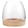 Mikinona Small, for Growth Gardening Elegant Indoor Root and Observing Hydroponic Planter Plant Glass Vase with Wooden Base Modern Bowl Shape Propagation or Kitchen Décor