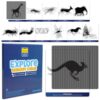 Mindful Motions Sensory Cards | Explore | 12 Moving Animals | 2 Sliders | Calming Corner Items for Kids | Screen-Free Visual Sensory Toys