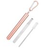 Mingzhe Portable Stainless Steel Telescopic Straw for Smoothies Milk Tea Cocktails with Cleaning Brush 23cm (Pink)