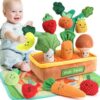 Mini Tudou Baby Toys 6-12 Months-Fruits Veggies Farm Stuffed Toys 15PCS-Sensory Educational Toy Mushroom Carrot with Rattle Squeaker Crinkle Texture Color Shape Number Matching Gifts