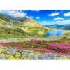 MISITU Jigsaw Puzzles 1000 Pieces for Adults Travel Puzzle Challenging Difficult Puzzles Christmas Birthday Gift Game Toys Azalea 19.69 x 27.56 Inches