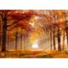 MISITU Jigsaw Puzzles 1000 Pieces for Adults Travel Puzzle Challenging Difficult Puzzles Christmas Birthday Gift Game Toys Maple Forest 19.69 x 27.56 Inches