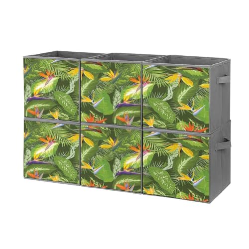 MoaDnoej Fresh Brazilian Forest Untouched Jungle Paradise Tropical Foliage Flowers Oxford Cloth Storage Cubes 6-Pack Foldable Fabric Drawer Bins Organizer for Home Closet Shelves