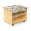 Mobile Sensory Table with Trays & Lids