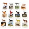 Montessori Farm Animal Matching Game, 12PCS Realistic Farm & Poultry Animal Figurines with Flash Cards, Preschool Educational Learning Toys for Toddlers Kids, Homeschool Language Sensory Toy