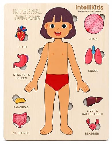 Montessori Human Anatomy Puzzle for Kids – Wooden Internal Organs Puzzle (Boy/Girl) – Human Body Learning Toy for Ages 3 4 5 6 7 Years– STEM Montessori Human Organ Educational Toy. (Girl (Mimi))
