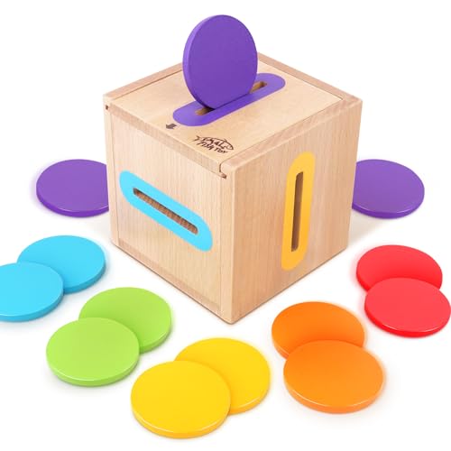 Montessori Toys for Toddlers 1-3 Color Sorting Wooden Object Permanence Box