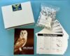 Mountain Home Biological Bargin Box 100 Pack Ex-Small Owl Pellets with Teachers Guide and Bone Sorting Sheets