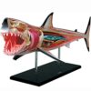 MOWFXUA 4D Shark Anatomy Model Kits, 20 Pieces Detachable Animal Anatomical Model Animal Biology Organ Medical Teaching Model Puzzle Assembling Toy