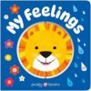My Feelings (Super Spinners): A first emotions book, with plenty to lift, turn, slide, and spin!