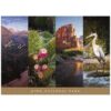 MyPuzzle Sights of Zion National Park - Premium 300 Piece Jigsaw Puzzle for Adults