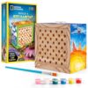 National Geographic Build a Bee Habitat Craft Kit for Kids – Paint & Build a House for Mason Bees, Outdoor Arts & Crafts, Nature Learning Activity, DIY Pollinator Garden Craft, Solitary Bee Hotel