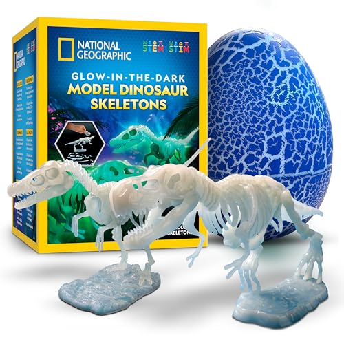 National Geographic Glow-in-The-Dark Dinosaur Skeleton Model Building Kit – Build Replica Velociraptor & T. rex Bones, Educational Dinosaur Egg Activity Kit, Fossils for Kids 5-7