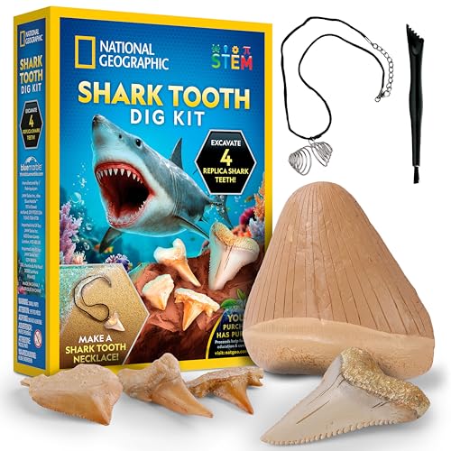 National Geographic Shark Tooth Dig Kit – Excavate Replica Teeth Fossils from Ancient Sharks and Make a Shark-Tooth Necklace, STEM Science Kit for Kids Ages 6-8, Educational Fossil Dig Activity