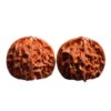 Natural Wenwan Walnut Pair 1.6 Inch Chinese Fidget Stress Relief Gift