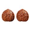 Natural Wenwan Walnut Pair 1.6 Inch Chinese Fidget Stress Relief Gift