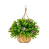 Nearly Natural 13 in UV-Resistant Lily and Eucalyptus Hanging Basket